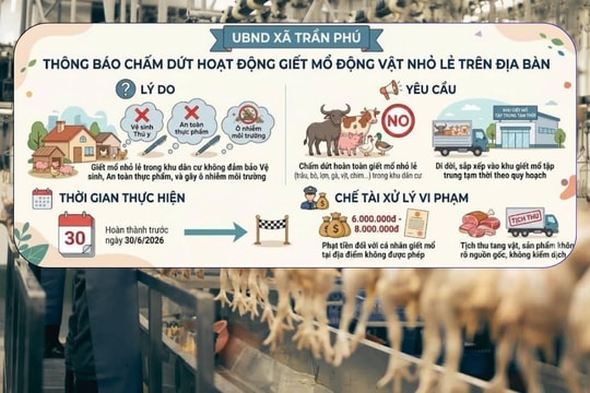 Xã Trần Phú chấm dứt hoạt động giết mổ nhỏ lẻ trong khu dân cư