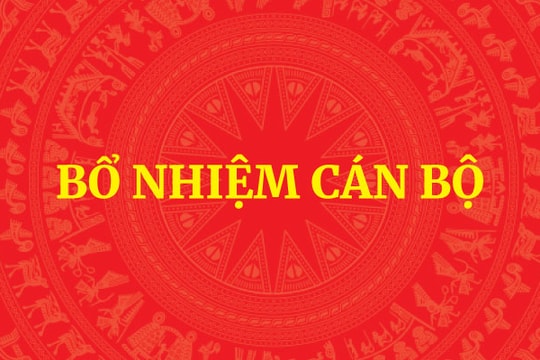 Bổ nhiệm Trợ lý Thủ tướng, Phó Thủ tướng Thường trực Chính phủ