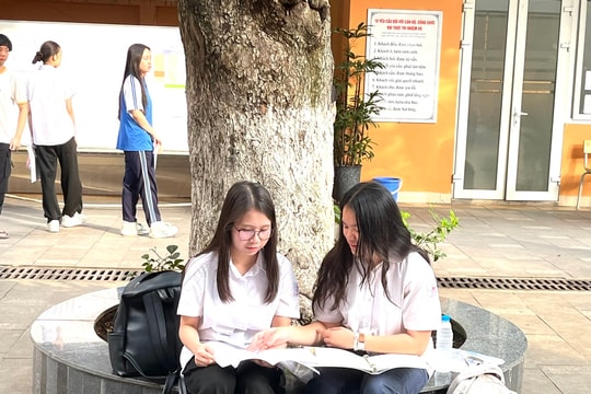 Học sinh lưu ý gì khi nhận phiếu báo thi dự thi lớp 10?