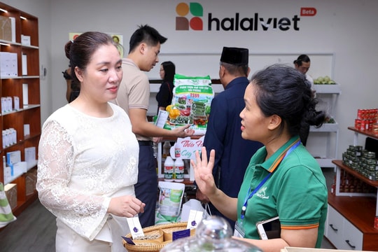 Thị trường Halal - Chìa khóa tăng trưởng cho doanh nghiệp Việt