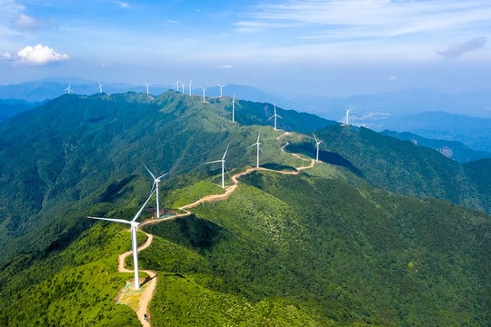 Thị trường tín chỉ carbon: “Vàng xanh” trong lộ trình Net Zero của Thủ đô