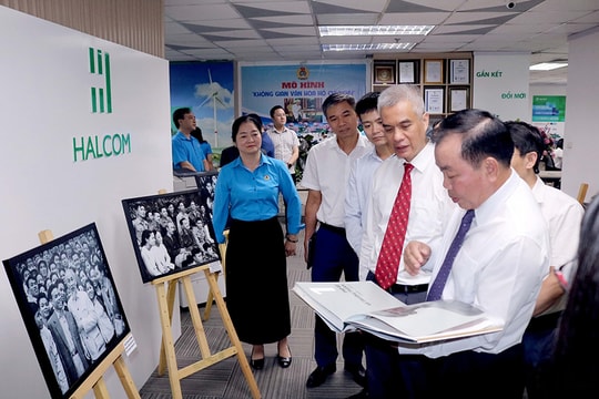 Ngọn đuốc soi đường