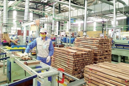 Chuyển đổi sang bền vững - thách thức lớn nhất của ngành xuất khẩu gỗ Việt