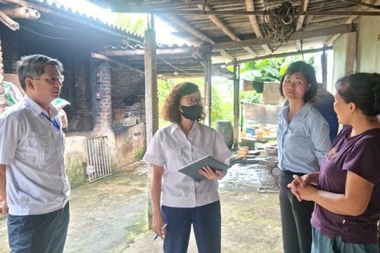 Các xã: Phượng Dực, Phú Xuyên cần rà soát, đề xuất cụ thể điểm giết mổ tập trung tạm thời