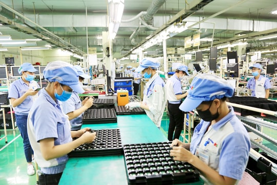 Tin tức đặc biệt trên ấn phẩm Hànộimới ngày 25-5-2026