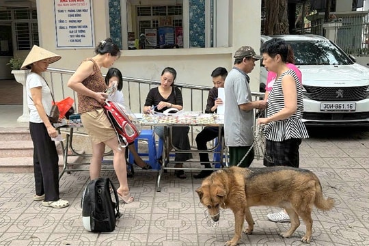 Hà Nội tăng cường triển khai đồng bộ các giải pháp phòng, chống bệnh dại động vật
