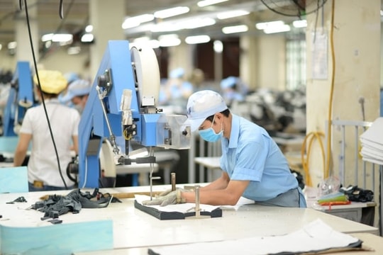 Khơi thông điểm nghẽn thủ tục hành chính, điều kiện kinh doanh: Cắt giảm đúng, thực chất