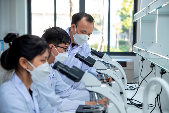 Việt Nam ban hành khung liêm chính khoa học: Siết đạo văn, ngụy tạo dữ liệu, lạm dụng AI