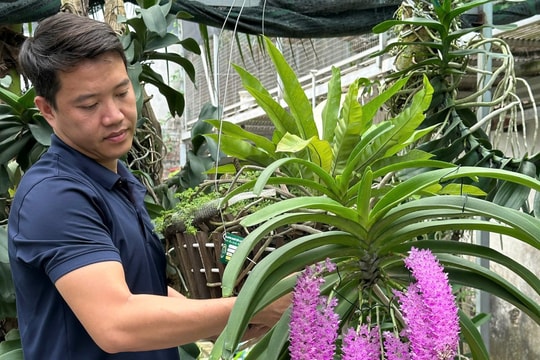 Giữ lửa nghề lan giữa cơn bão đô thị hóa