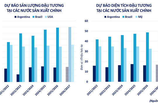 Thị trường phân hóa mạnh, ca cao bật tăng gần 10%