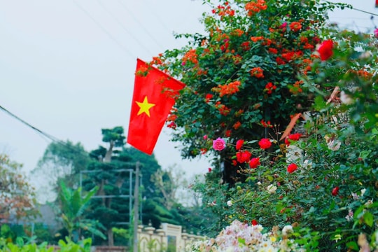 Góp sức, chung tay để xanh ngõ, đẹp làng