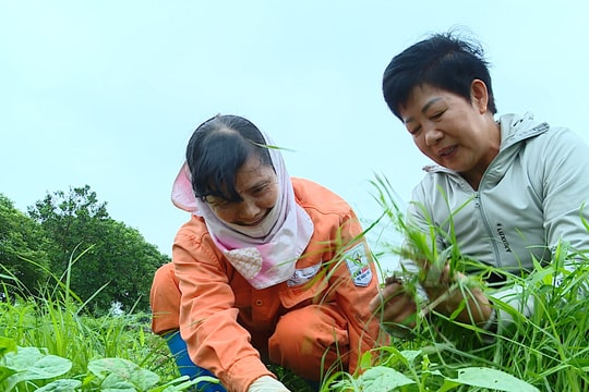 Khi nông dân bước lên “chợ số”