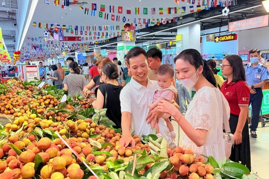 Central Retail đặt mục tiêu tăng gấp đôi sản lượng tiêu thụ vải thiều Bắc Ninh