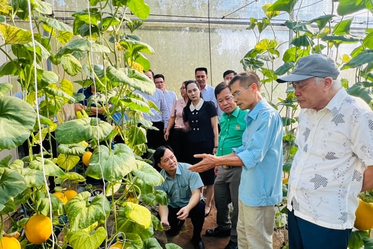 Hà Nội: Đồng hành cùng nông dân trong ứng dụng khoa học công nghệ, phát triển kinh tế nông nghiệp