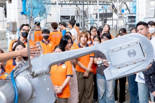 Lần đầu đưa ra khái niệm “trải nghiệm nghề nghiệp tại doanh nghiệp”