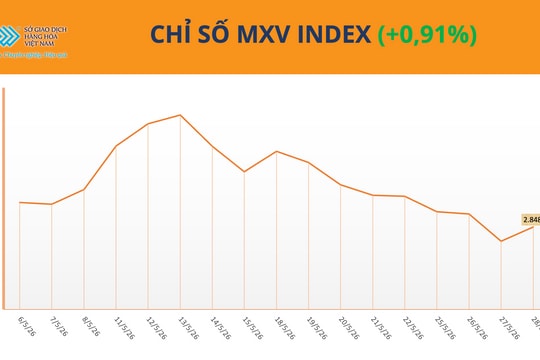 Giá bạc tăng, tiến sát mốc 76 USD/ounce