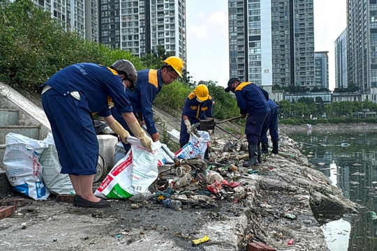 Cầu Giấy: Tổng lực "giải cứu" hồ Công viên CV1 khỏi sự cố cá chết dạt bờ