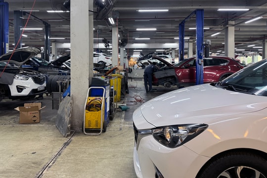 Xăng E10 những ngày đầu: Nhiều gara không ghi nhận ca hỏng hóc liên quan