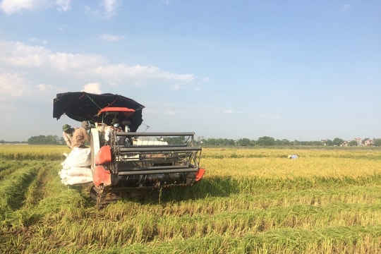 Cơ giới hóa sản xuất lúa - đòn bẩy nâng cao giá trị nông nghiệp Thủ đô