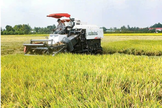Hợp tác xã Phú Nghĩa “tiếp sức” cho nông dân trong sản xuất nông nghiệp
