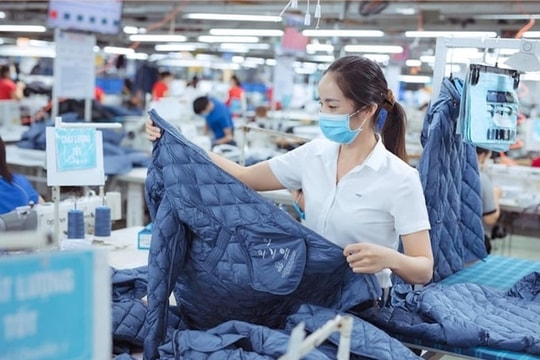 Hơn 142.000 doanh nghiệp thành lập mới và quay lại thị trường trong 5 tháng