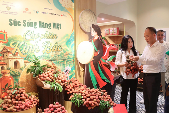 Kết nối đa kênh, mở rộng đầu ra cho vải Thiều Bắc Ninh