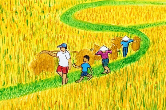 Cánh đồng mùa gặt