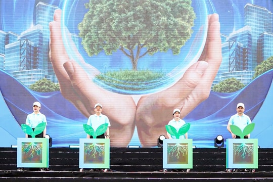 Bảo vệ môi trường là điều kiện quan trọng để phát triển nhanh và bền vững đất nước