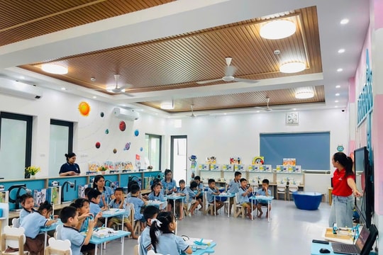Mùa hè của học sinh và những bài học không có trong sách giáo khoa