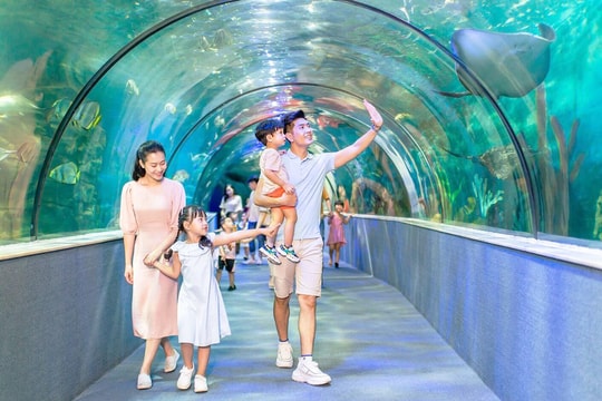 Xây dựng “lá chắn” bảo vệ trẻ em