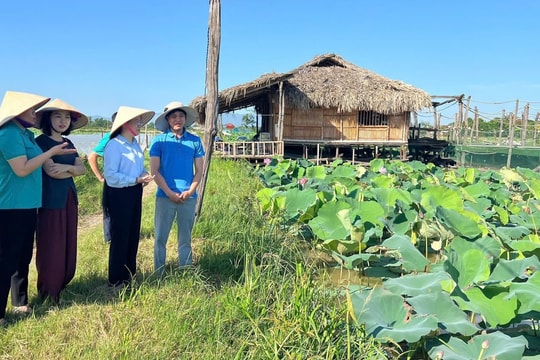 Nông dân Thủ đô sản xuất nông nghiệp sạch, bảo vệ môi trường vì sức khỏe cộng đồng