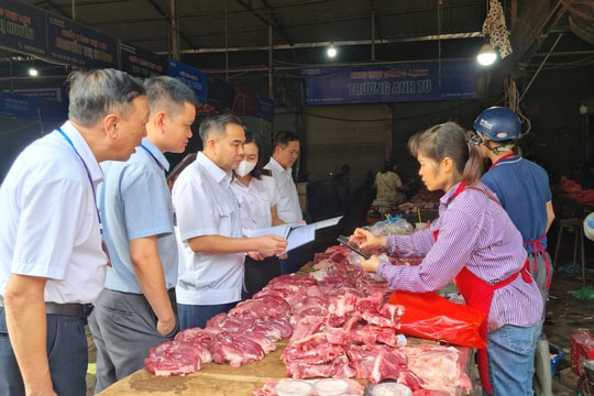 Kiểm tra công tác kiểm soát giết mổ động vật tại các phường Đại Mỗ, Đống Đa