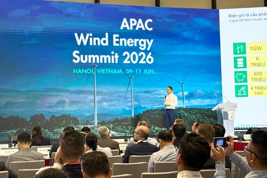 Đan Mạch và bài học 35 năm phát triển điện gió ngoài khơi cho Việt Nam
