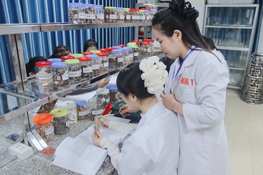 Đào tạo y học cổ truyền trong kỷ nguyên số: Động lực quan trọng để phát triển mạnh mẽ hơn