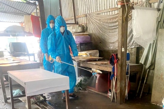 Xã Đan Phượng tổng vệ sinh, khử trùng, tiêu độc môi trường