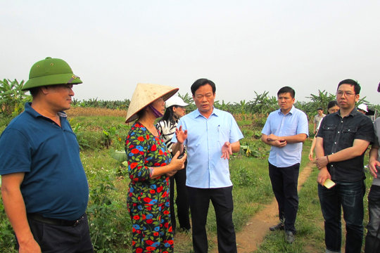 Giải phóng mặt bằng các dự án trọng điểm: Công khai, minh bạch để tạo đồng thuận