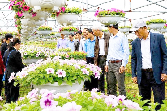 Hiện thực hóa khát vọng trở thành đô thị xanh