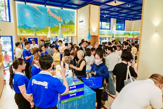 3 năm liền góp mặt trong Fortune SEA 500: Vinamilk khẳng định vị thế thương hiệu sữa Việt