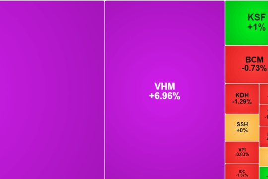 Thị trường chứng khoán chấm dứt chuỗi 4 tuần giảm liên tiếp