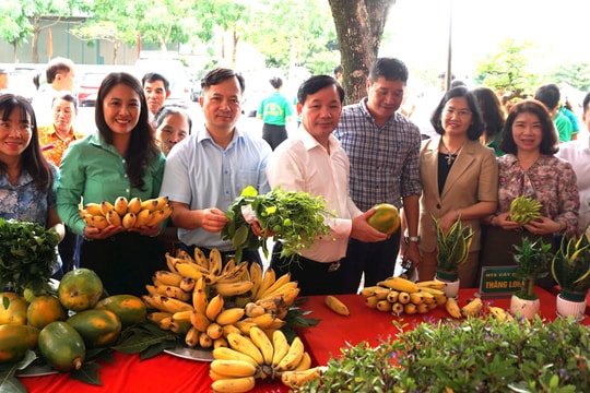 Nông dân Hà Nội xây dựng nông nghiệp xanh, phát triển kinh tế bền vững