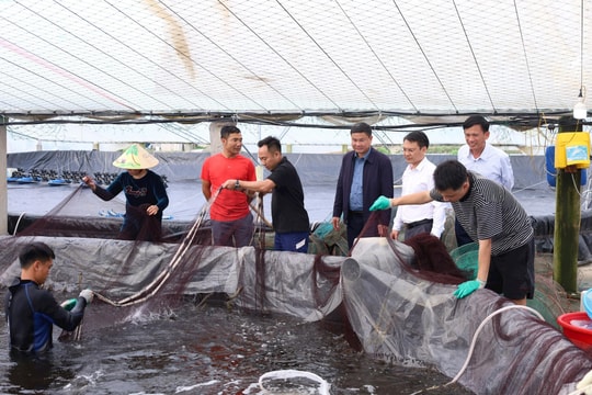 Gỡ nút thắt vốn vay cho doanh nghiệp thủy sản