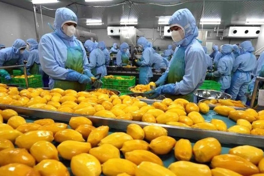 Xuất khẩu nông sản đối diện thách thức thiên tai