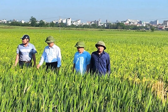 Khơi dòng nội lực trên đồng đất La Phù