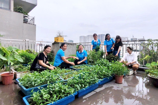 Gieo mầm xanh, lan tỏa chuyển đổi số từ mô hình “Khu vườn tôi yêu”