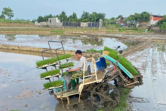 Hợp tác xã Liệp Tuyết chung sức đẩy mạnh phát triển sản xuất nông nghiệp ở địa phương