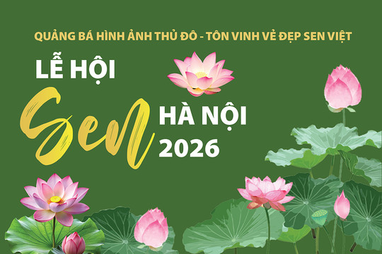Lễ hội Sen Hà Nội 2026: Tôn vinh vẻ đẹp sen Việt, lan tỏa hình ảnh Thủ đô