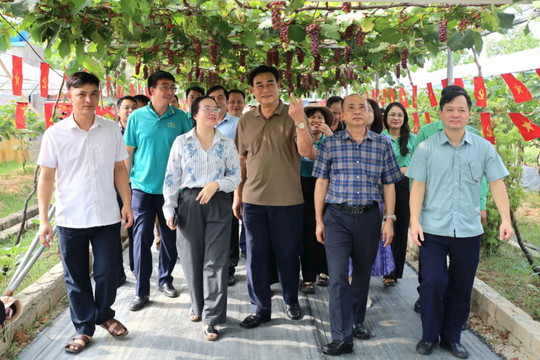 Hội Nông dân thành phố Hà Nội: Mở rộng không gian liên kết, tạo xung lực mới cho phát triển nông nghiệp