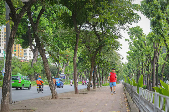 Bắc Bộ nhiều nơi mưa to về chiều tối và đêm