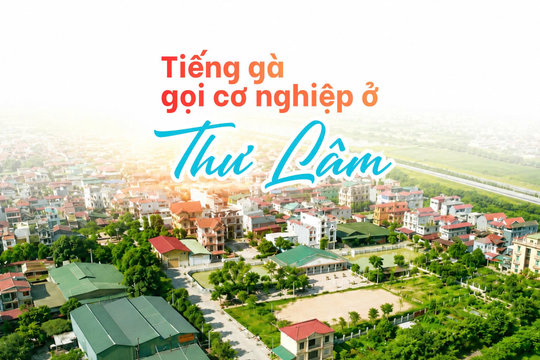 Tiếng gà gọi cơ nghiệp ở Thư Lâm