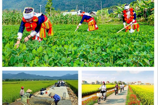 Giao kế hoạch đầu tư công vốn ngân sách trung ương cho các bộ, địa phương thực hiện Chương trình mục tiêu quốc gia
